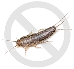 icone-poisson-argent