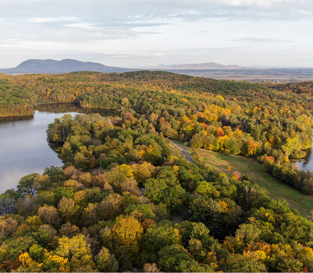 Vue aerienne d'une foret.